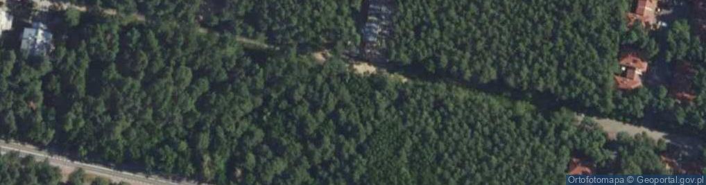 Zdjęcie satelitarne Olchy ul.
