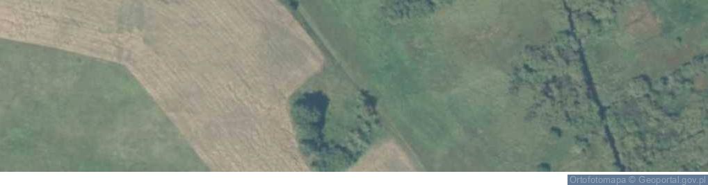 Zdjęcie satelitarne Olszak ul.