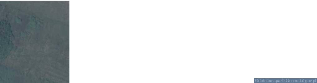 Zdjęcie satelitarne Olszowa Dąbrowa ul.