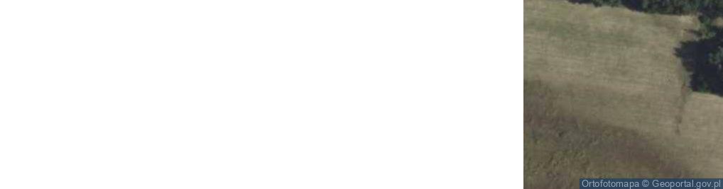 Zdjęcie satelitarne Olszowiec ul.