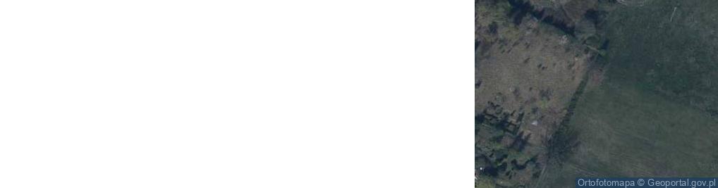 Zdjęcie satelitarne Olszyniec ul.