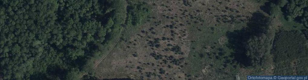 Zdjęcie satelitarne Olchowa ul.