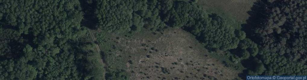 Zdjęcie satelitarne Olchowa ul.