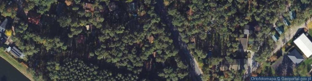 Zdjęcie satelitarne Olimpijska ul.