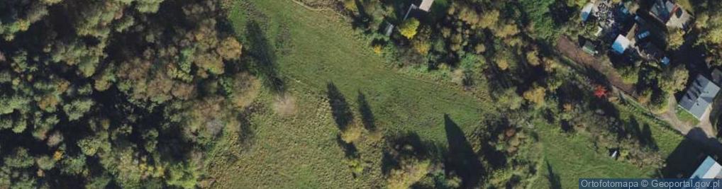 Zdjęcie satelitarne Olimpijska ul.