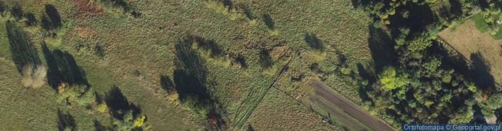 Zdjęcie satelitarne Olimpijska ul.