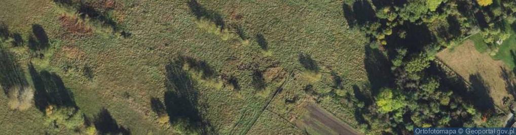 Zdjęcie satelitarne Olimpijska ul.