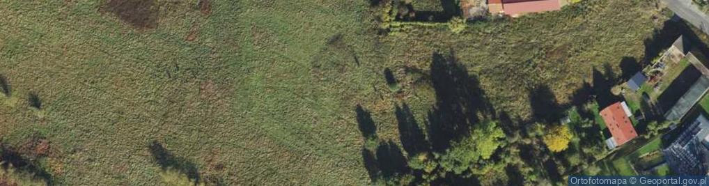 Zdjęcie satelitarne Olimpijska ul.