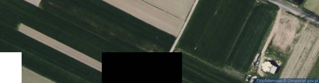Zdjęcie satelitarne Olewińska ul.