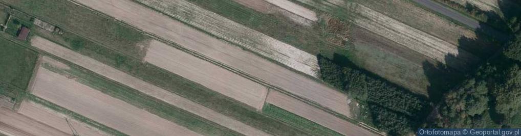 Zdjęcie satelitarne Orla ul.