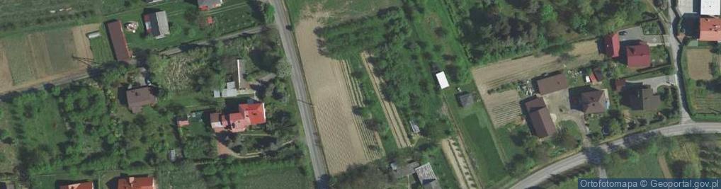 Zdjęcie satelitarne Orlich Gniazd ul.