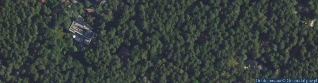 Zdjęcie satelitarne Orzechowa ul.