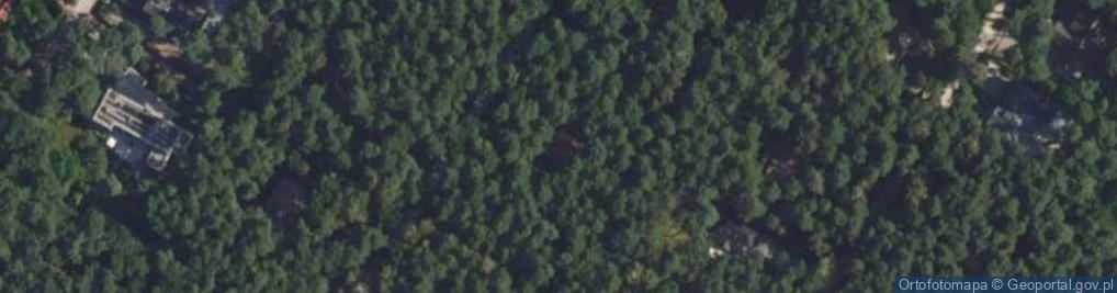 Zdjęcie satelitarne Orzechowa ul.