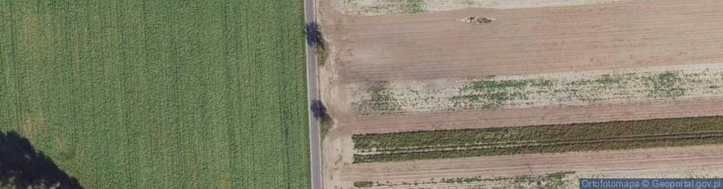 Zdjęcie satelitarne Orzechowa ul.