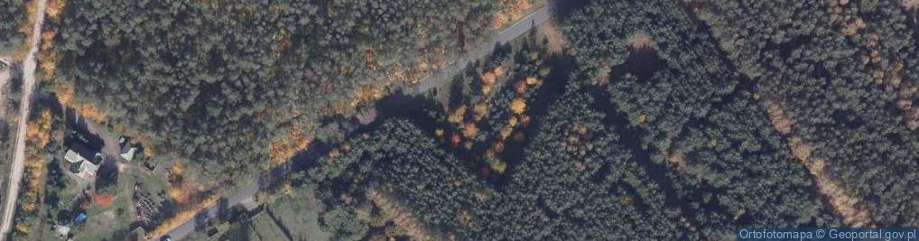 Zdjęcie satelitarne Orchowska ul.