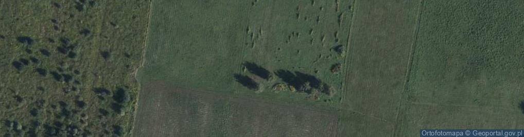 Zdjęcie satelitarne Orzechowy Sad ul.