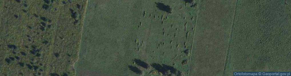 Zdjęcie satelitarne Orzechowy Sad ul.