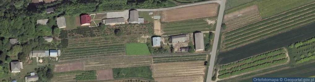 Zdjęcie satelitarne Orchowiec ul.
