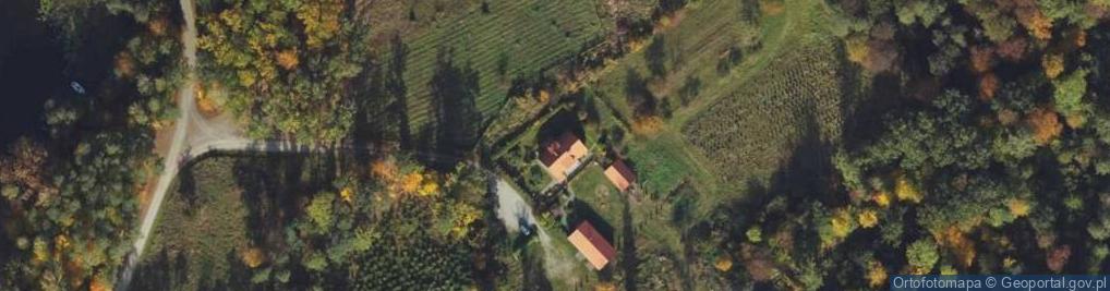 Zdjęcie satelitarne Orle ul.