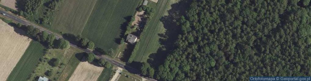 Zdjęcie satelitarne Orłów Drewniany-Kolonia ul.