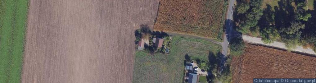 Zdjęcie satelitarne Orłowo ul.