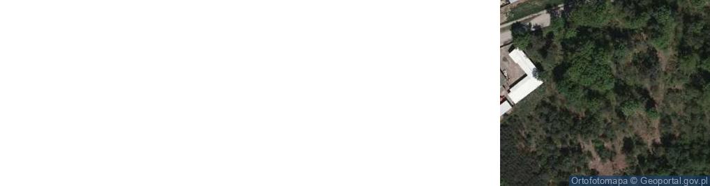 Zdjęcie satelitarne Orzechów ul.