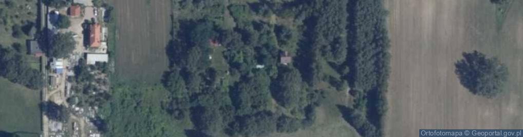 Zdjęcie satelitarne Orzechów ul.