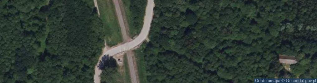 Zdjęcie satelitarne Orzechowicze ul.