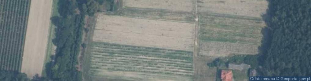 Zdjęcie satelitarne Orzechowo ul.