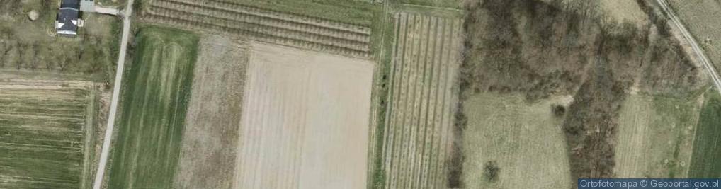 Zdjęcie satelitarne Orzechowa ul.