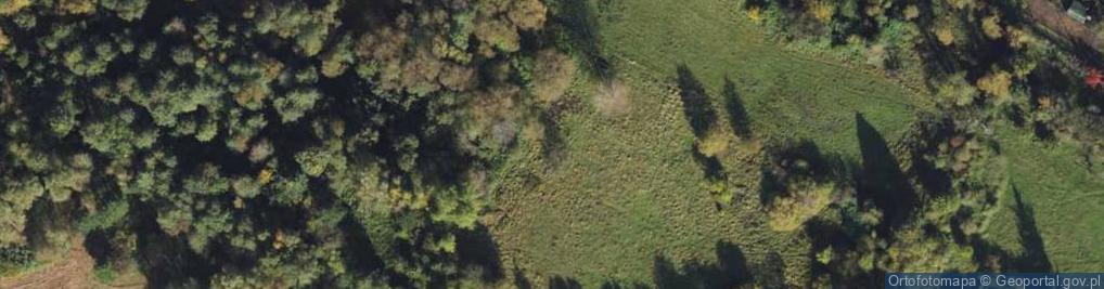 Zdjęcie satelitarne Orłowicza Mieczysława ul.