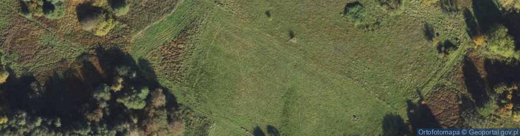 Zdjęcie satelitarne Orłowicza Mieczysława ul.