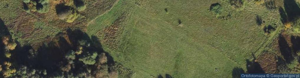 Zdjęcie satelitarne Orłowicza Mieczysława ul.