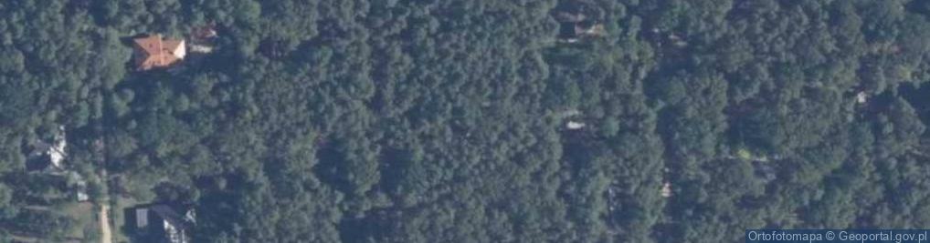 Zdjęcie satelitarne Orla ul.