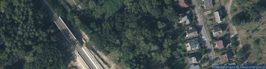 Zdjęcie satelitarne Orłowska ul.