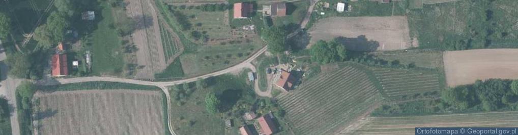 Zdjęcie satelitarne Orkiszowa ul.