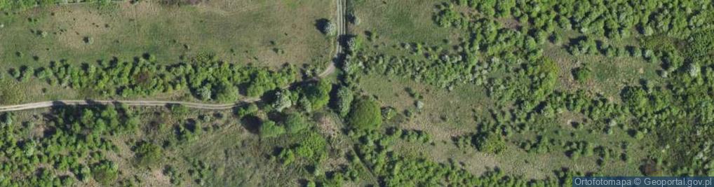 Zdjęcie satelitarne Orłowska ul.