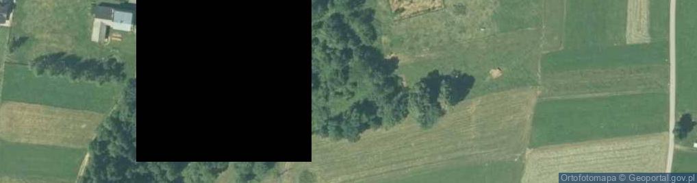 Zdjęcie satelitarne Osiedle Pitoniówka os.