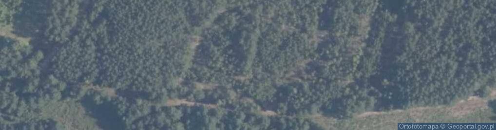 Zdjęcie satelitarne Ośmiu Stawów ul.