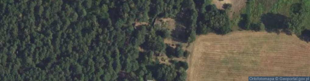 Zdjęcie satelitarne Osiedle Pod Lasem os.