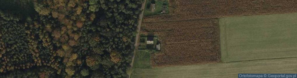 Zdjęcie satelitarne Ościsłowo ul.