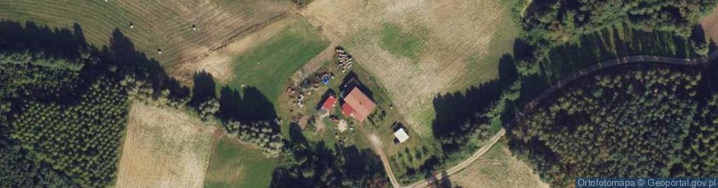 Zdjęcie satelitarne Osieczek ul.