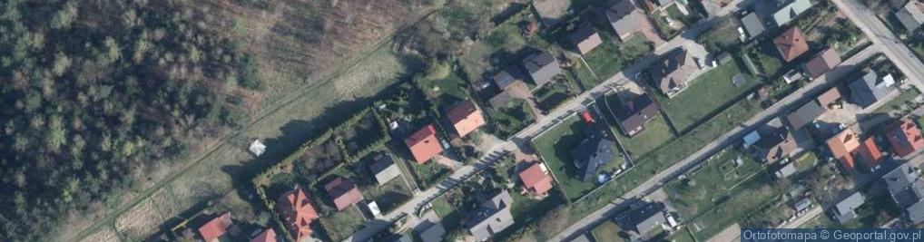 Zdjęcie satelitarne Osiek ul.