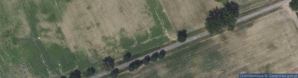 Zdjęcie satelitarne Osiny ul.