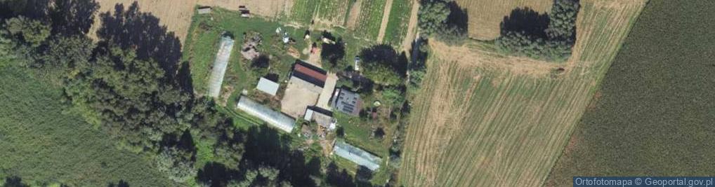 Zdjęcie satelitarne Ostrów Świecki ul.