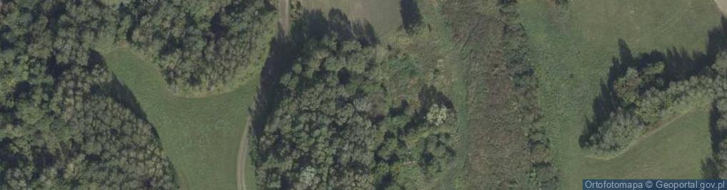 Zdjęcie satelitarne Osowiec ul.