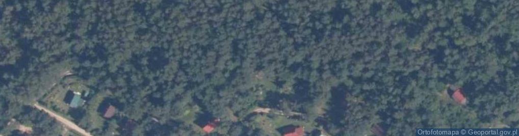 Zdjęcie satelitarne Osiedle Leśny Raj os.