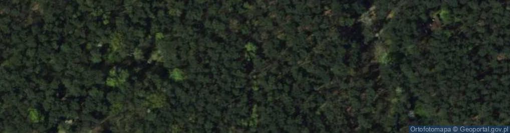 Zdjęcie satelitarne Oświatowa ul.