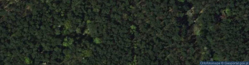 Zdjęcie satelitarne Oświatowa ul.