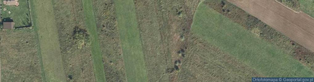 Zdjęcie satelitarne Osiedle Bażantów os.